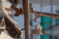 46525689_2026162320777709_72823953642487808_o_2026162300777711